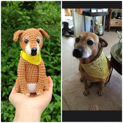 Custom Crochet Pet Plushie – Handmade Look-Alike of Your Beloved Pet