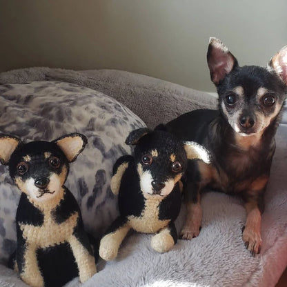 Custom Crochet Pet Plushie – Handmade Look-Alike of Your Beloved Pet